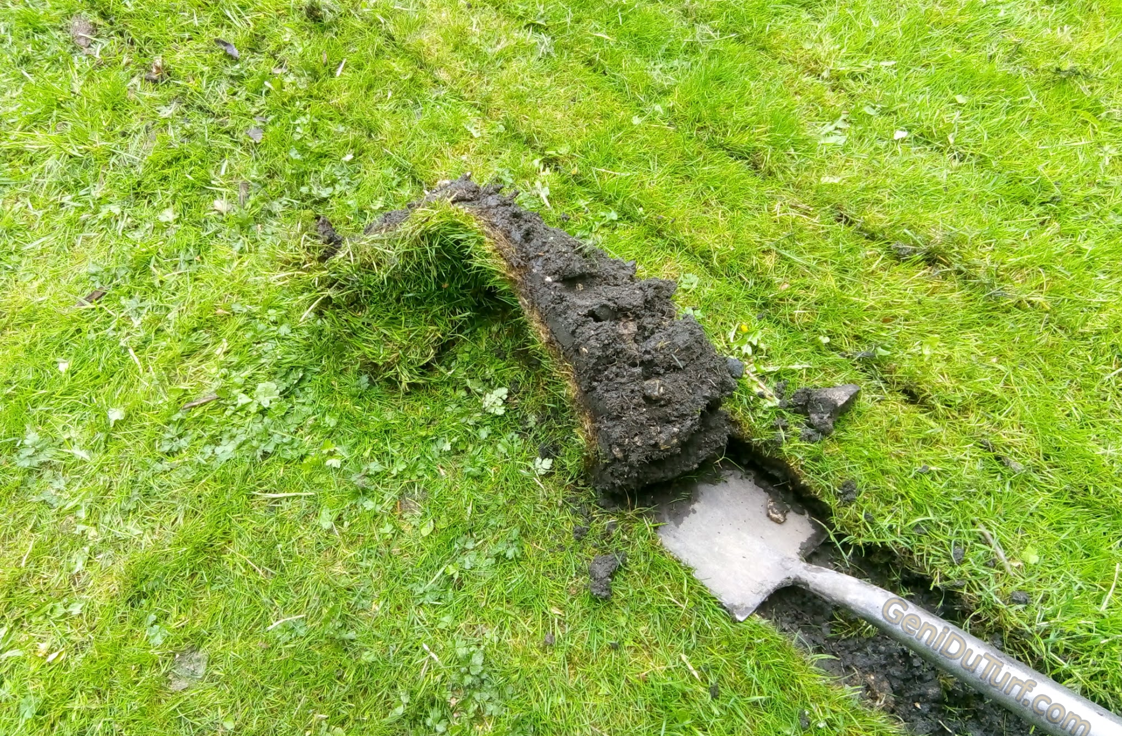 Manual Turf Removal